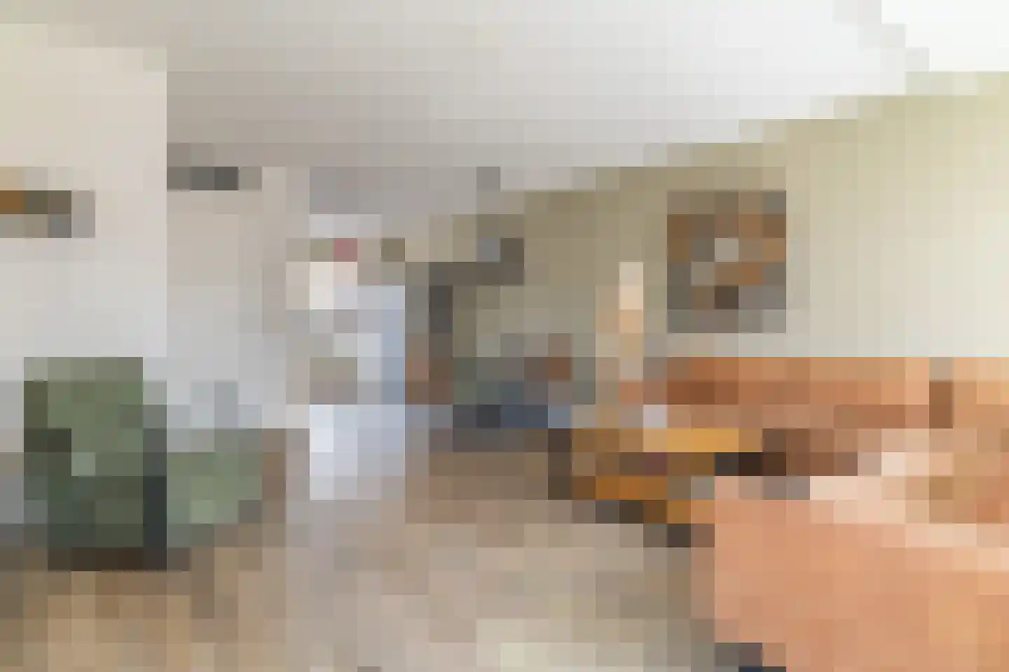 Hondsdraf 1 Vroomshoop thumbnail 11