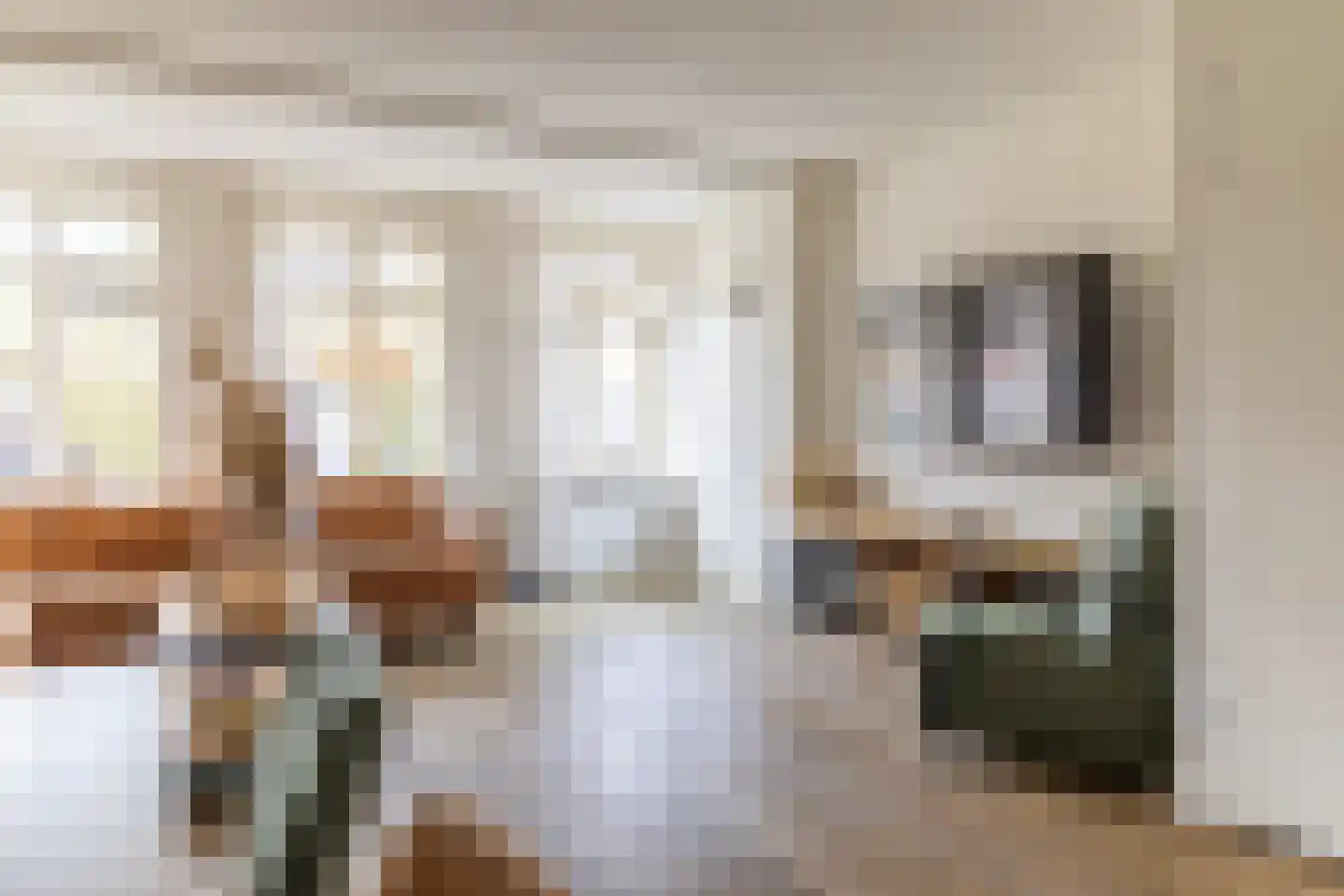 Hondsdraf 1 Vroomshoop thumbnail 12