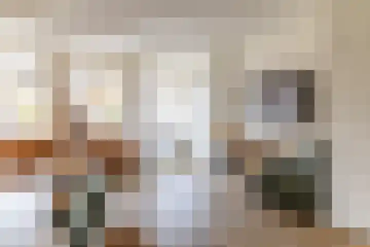 Hondsdraf 1 Vroomshoop thumbnail 12