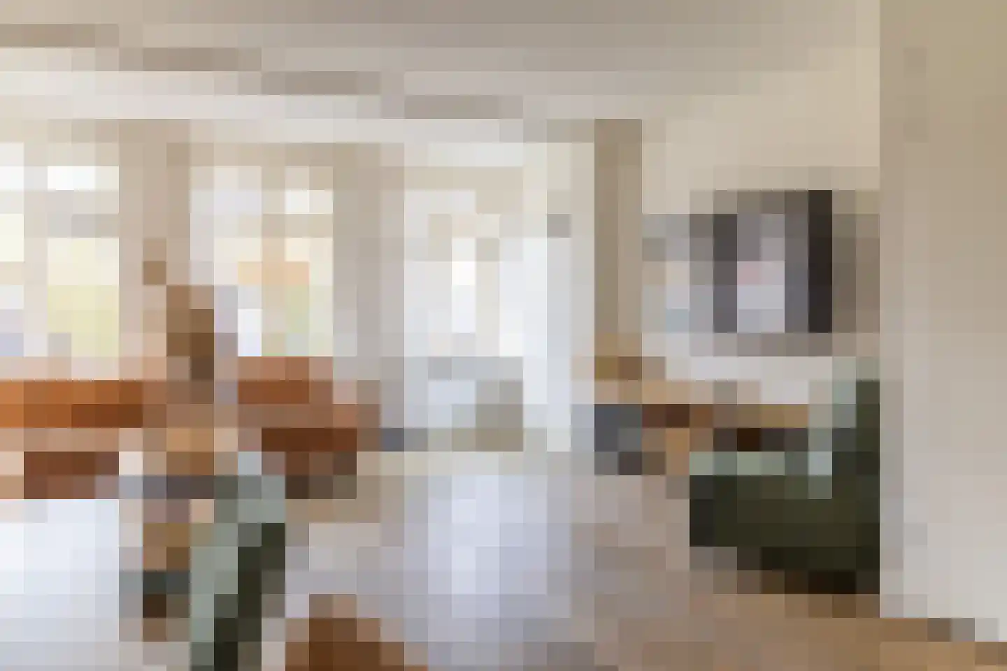 Hondsdraf 1 Vroomshoop thumbnail 12