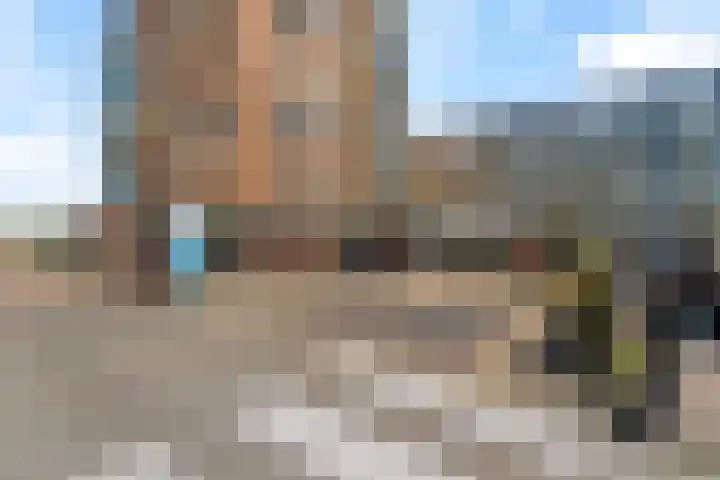 Hondsdraf 1 Vroomshoop thumbnail 13
