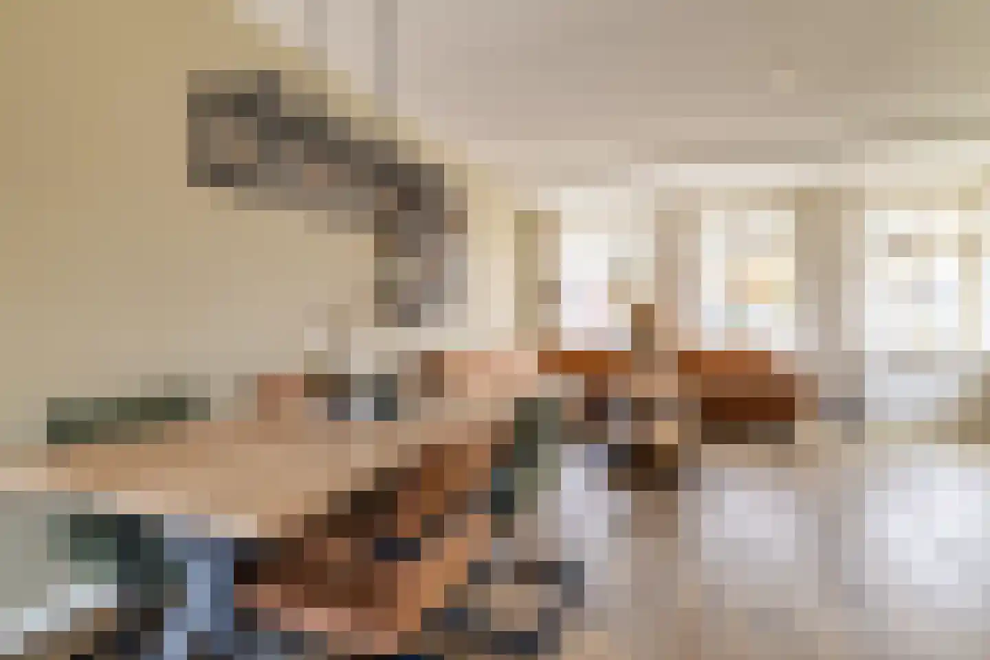 Hondsdraf 1 Vroomshoop thumbnail 13
