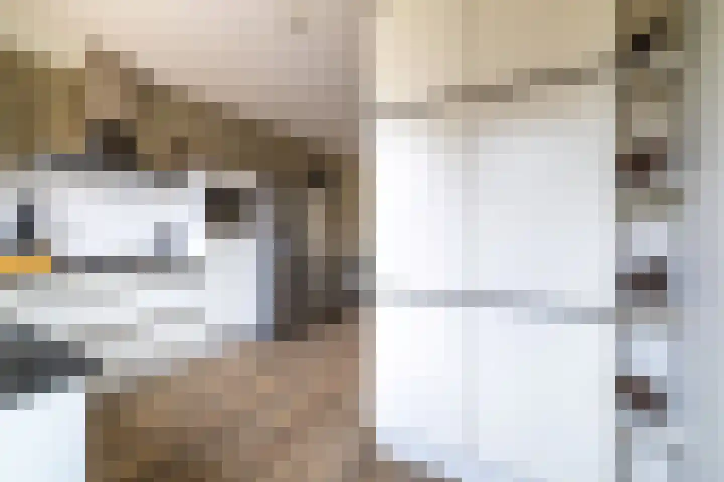 Hondsdraf 1 Vroomshoop thumbnail 15