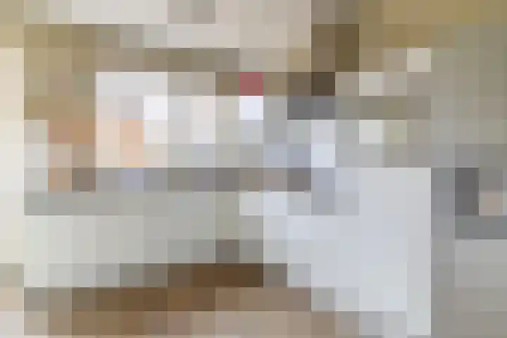 Hondsdraf 1 Vroomshoop thumbnail 16