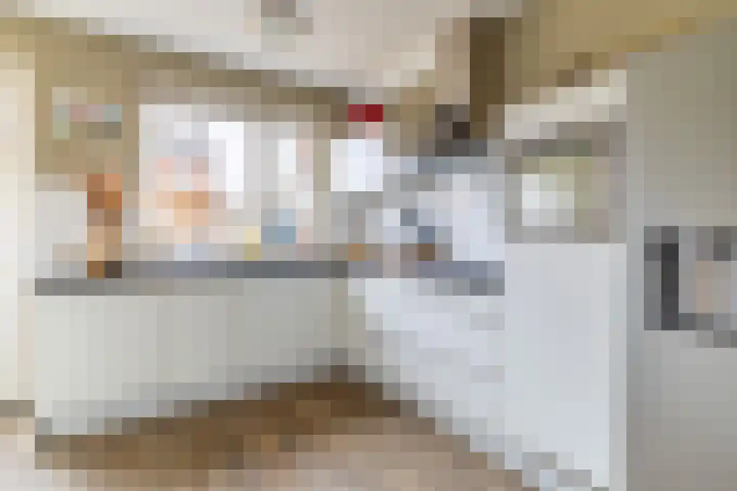 Hondsdraf 1 Vroomshoop thumbnail 16
