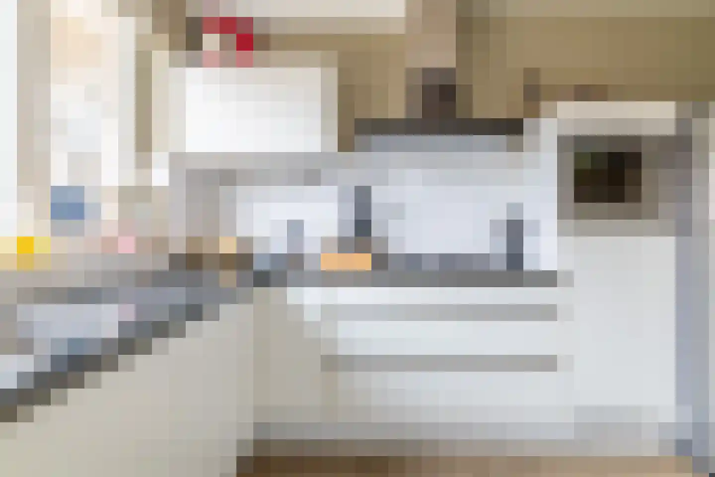 Hondsdraf 1 Vroomshoop thumbnail 17