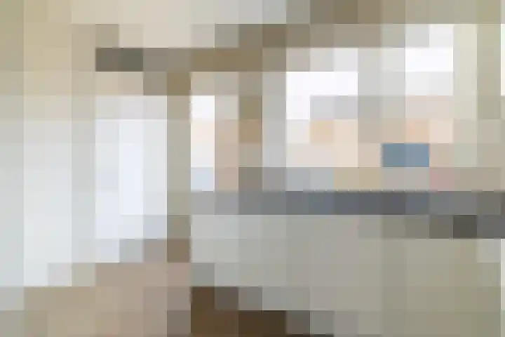 Hondsdraf 1 Vroomshoop thumbnail 18
