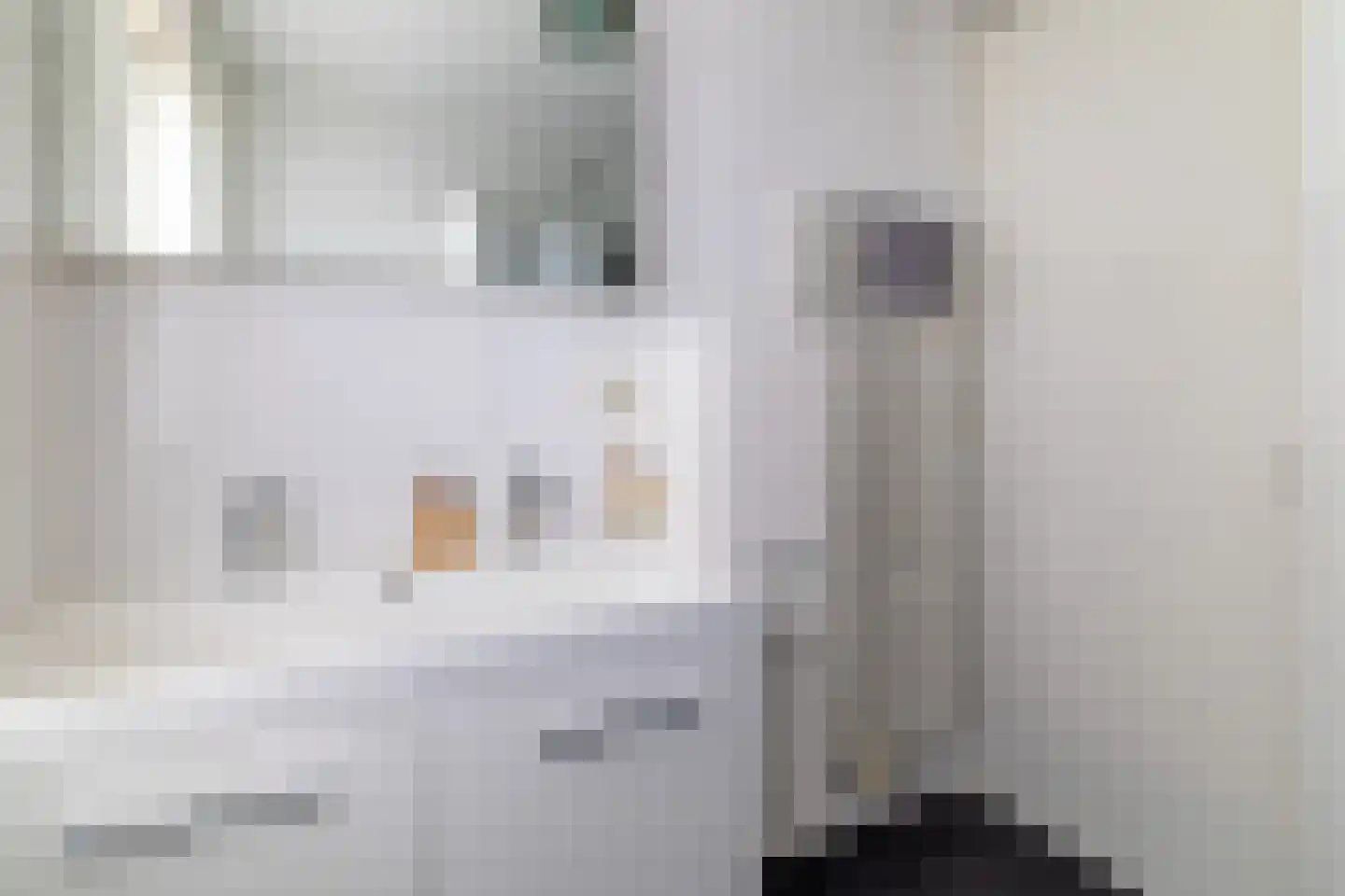 Hondsdraf 1 Vroomshoop thumbnail 20