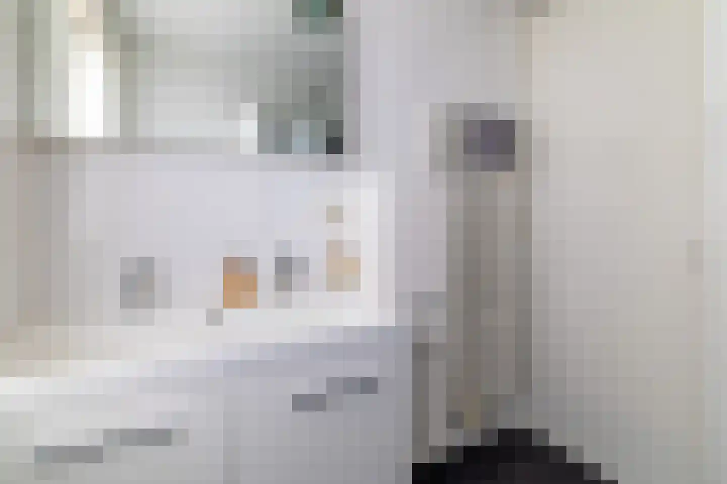 Hondsdraf 1 Vroomshoop thumbnail 20