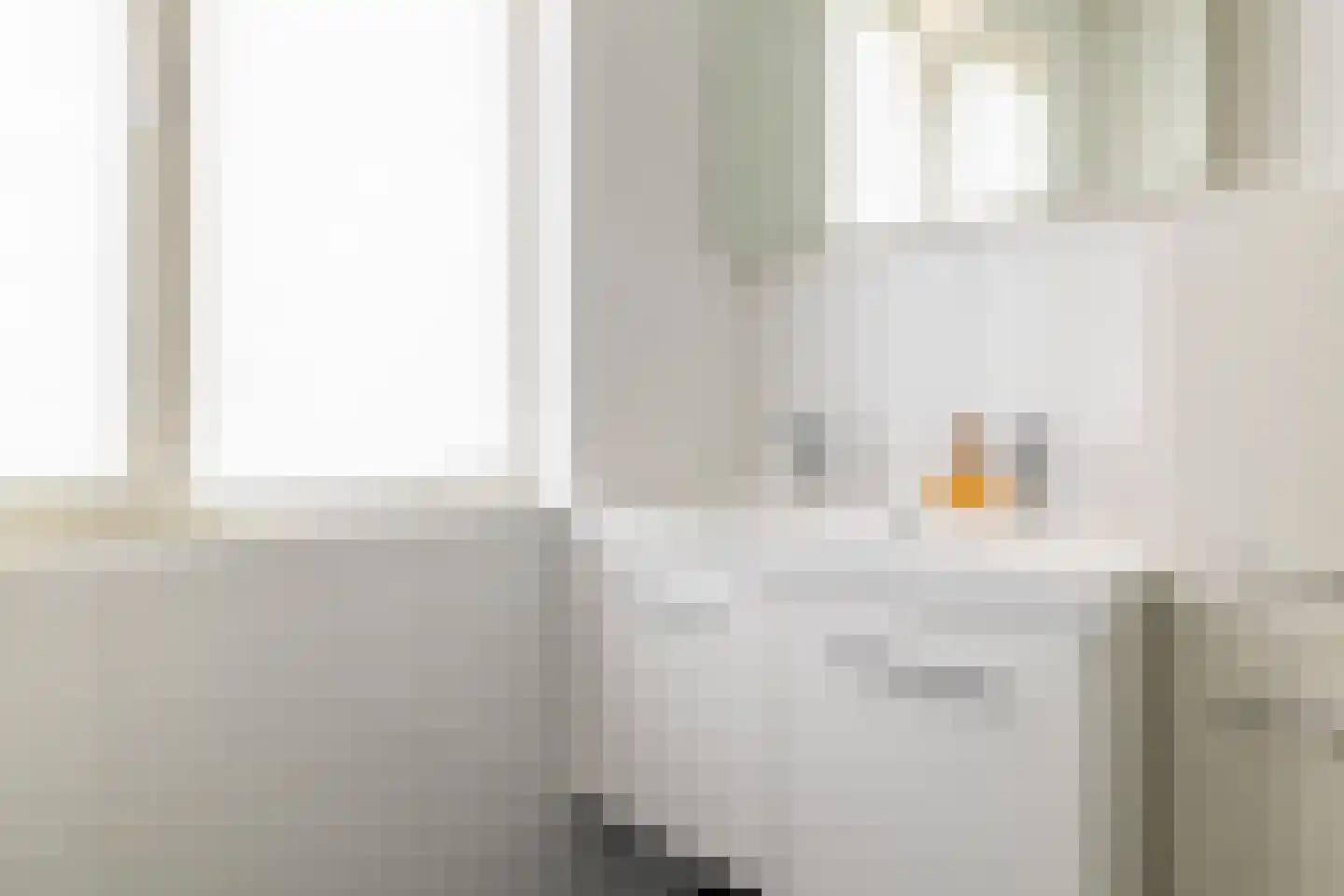 Hondsdraf 1 Vroomshoop thumbnail 21