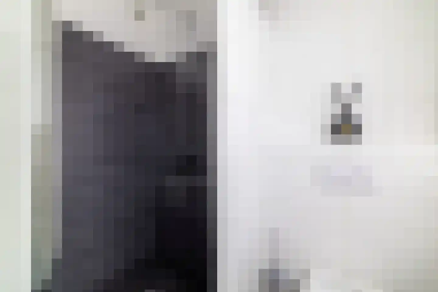Hondsdraf 1 Vroomshoop thumbnail 22