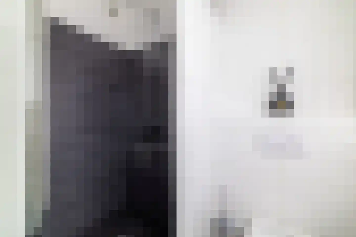 Hondsdraf 1 Vroomshoop thumbnail 22