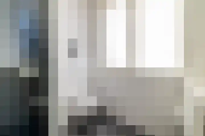 Hondsdraf 1 Vroomshoop thumbnail 23