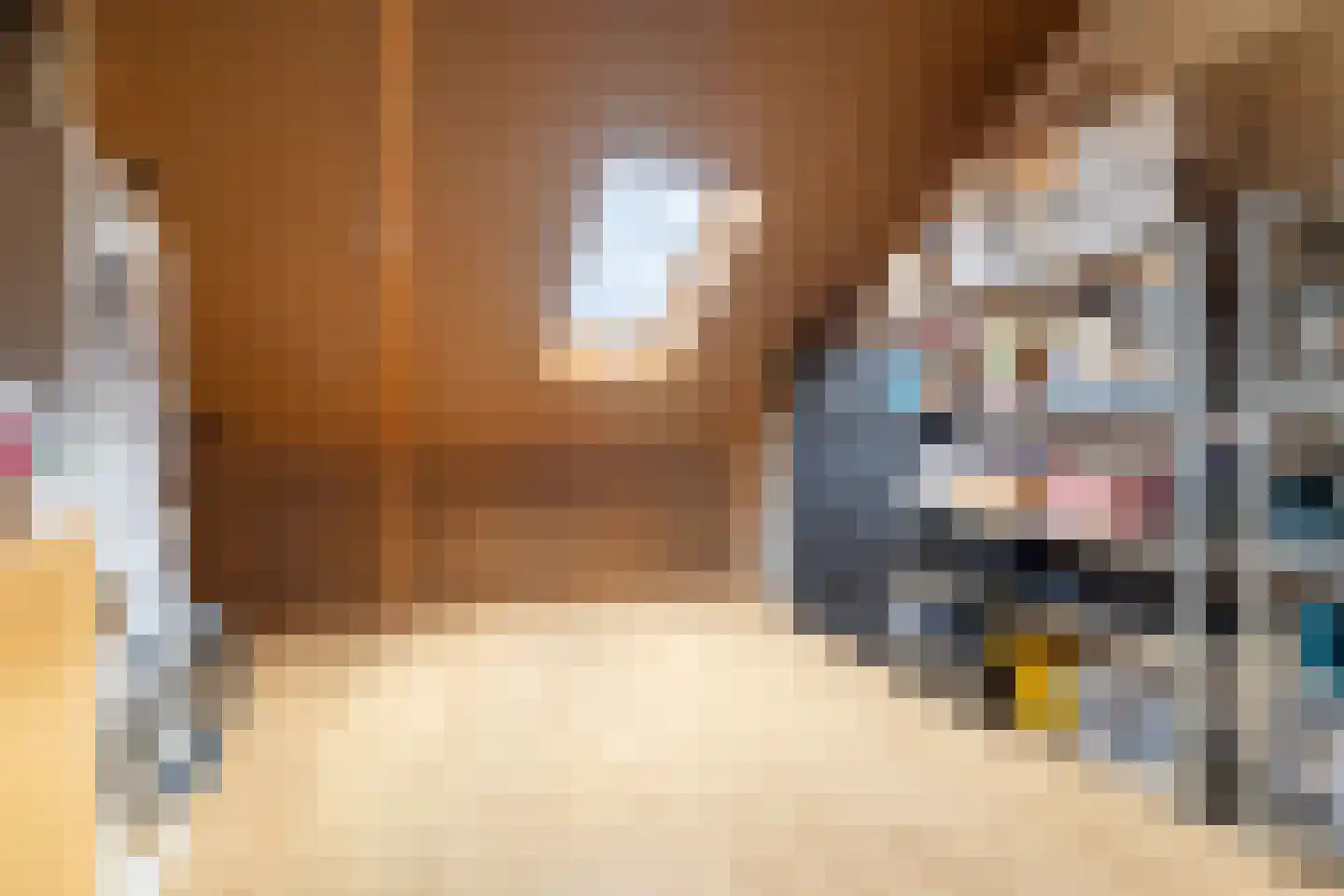 Hondsdraf 1 Vroomshoop thumbnail 24