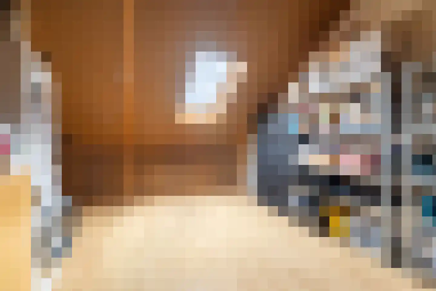 Hondsdraf 1 Vroomshoop thumbnail 24