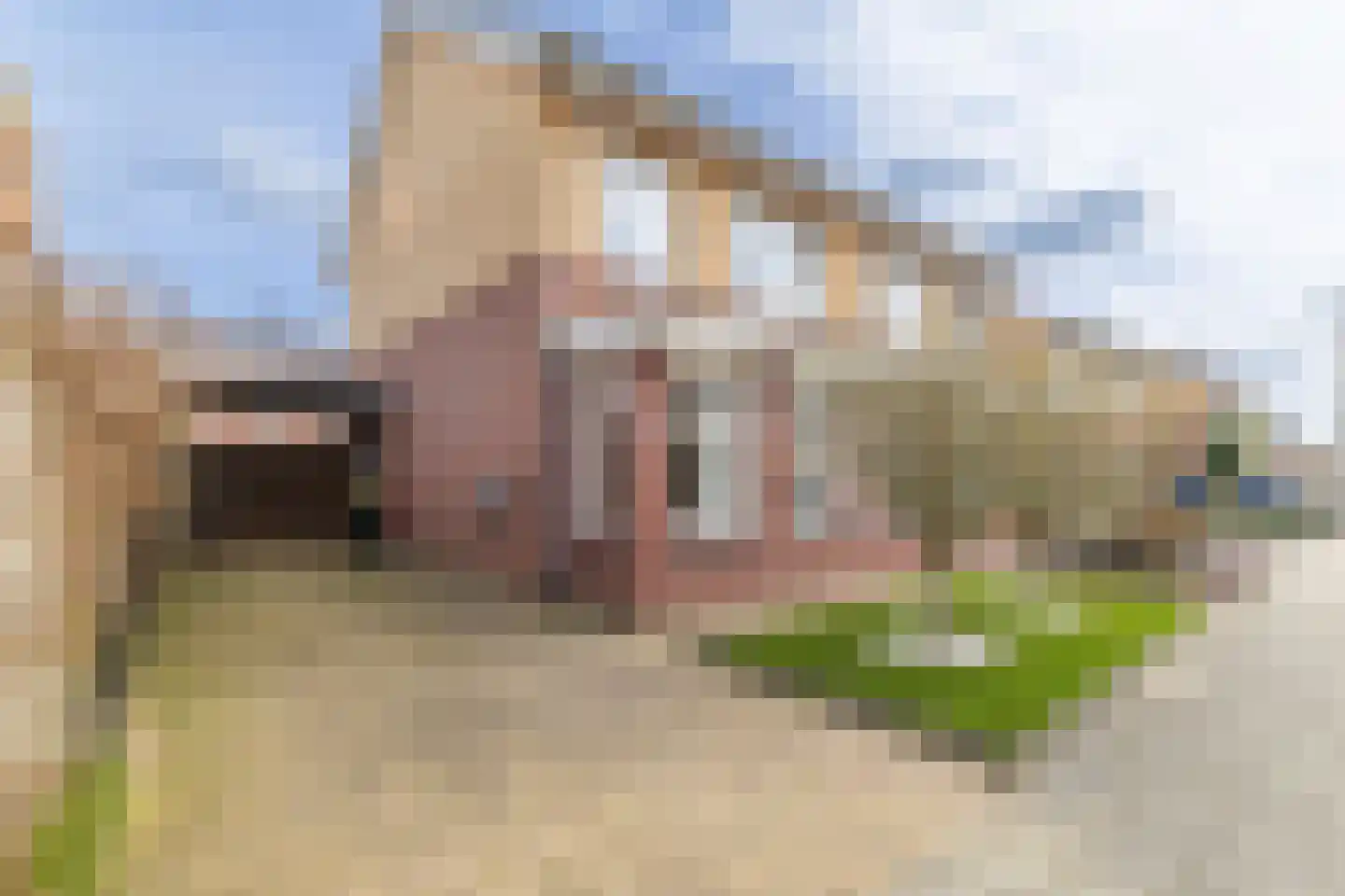 Hondsdraf 1 Vroomshoop thumbnail 26