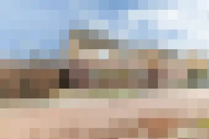 Hondsdraf 1 Vroomshoop thumbnail 27