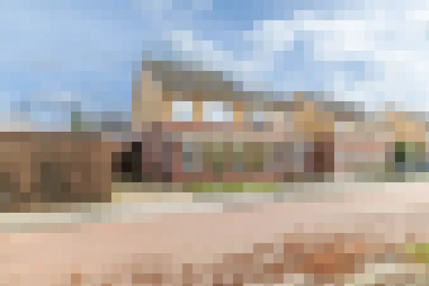 Hondsdraf 1 Vroomshoop thumbnail 27