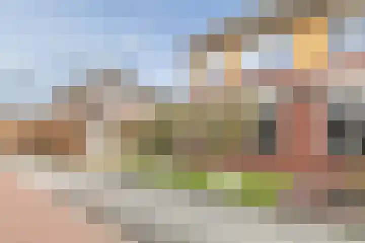 Hondsdraf 1 Vroomshoop thumbnail 28