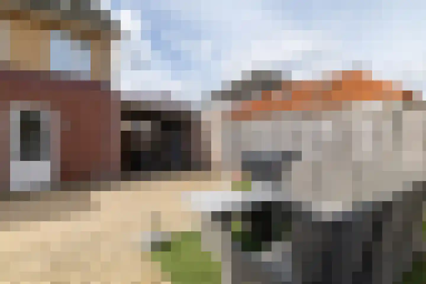 Hondsdraf 1 Vroomshoop thumbnail 30