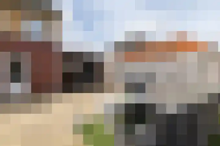 Hondsdraf 1 Vroomshoop thumbnail 30