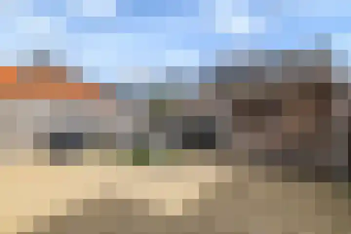 Hondsdraf 1 Vroomshoop thumbnail 32