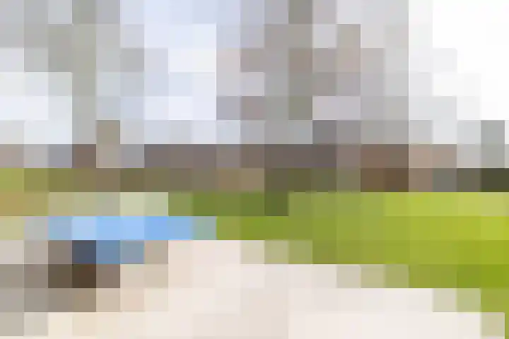 Hondsdraf 1 Vroomshoop thumbnail 34