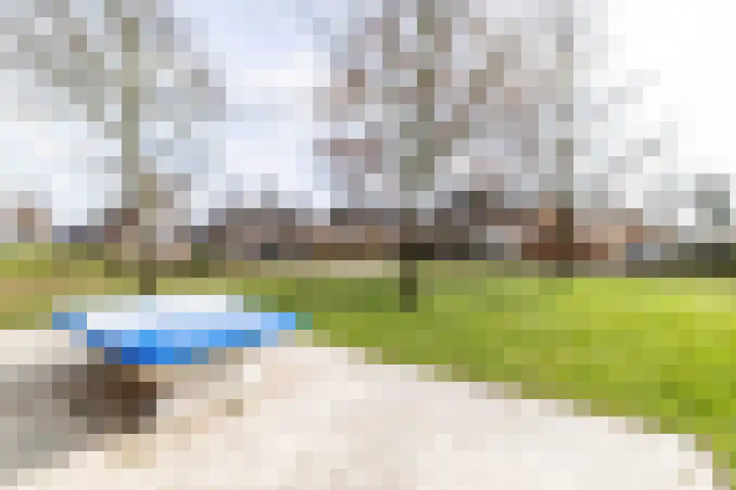 Hondsdraf 1 Vroomshoop thumbnail 34
