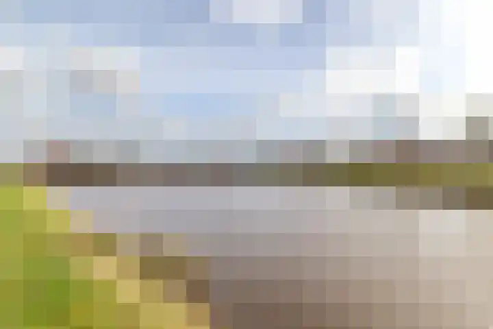 Hondsdraf 1 Vroomshoop thumbnail 35