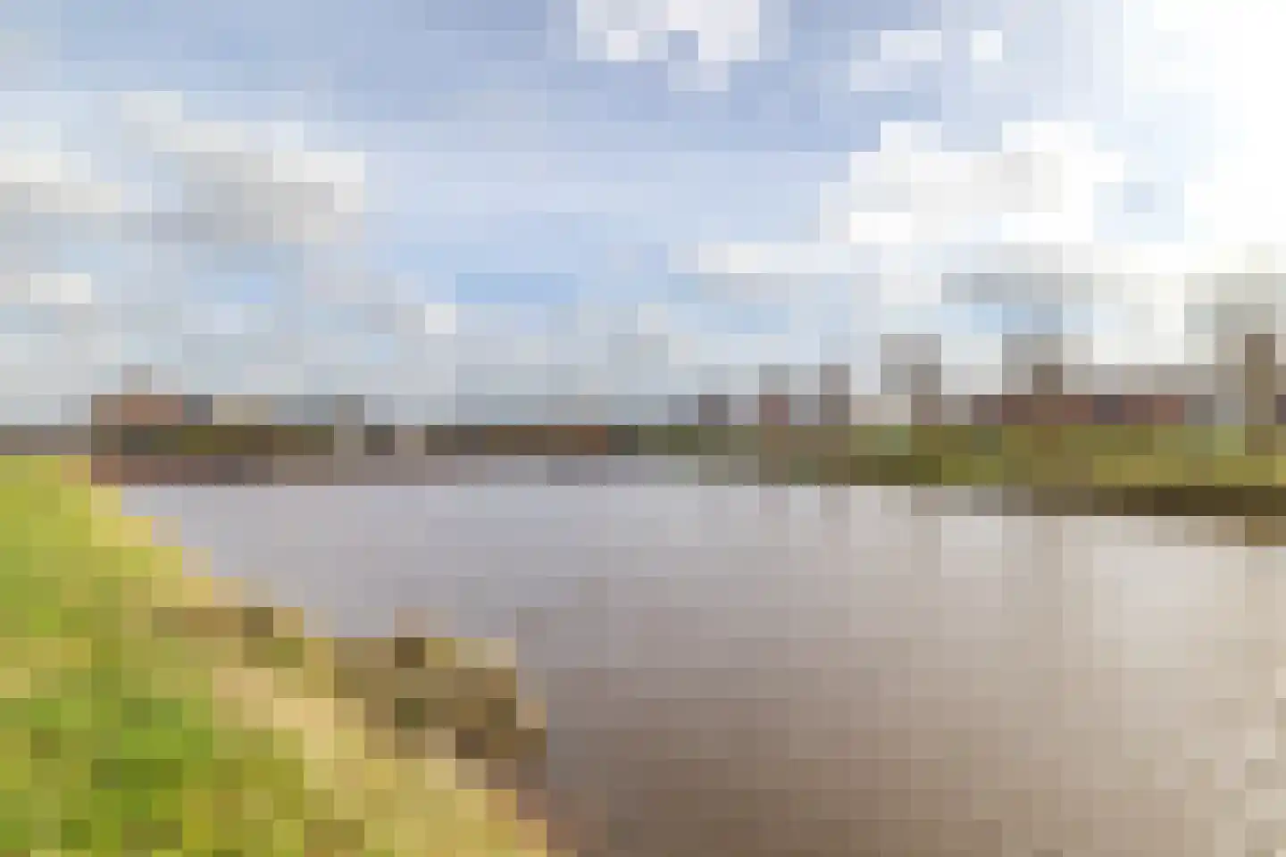 Hondsdraf 1 Vroomshoop thumbnail 35