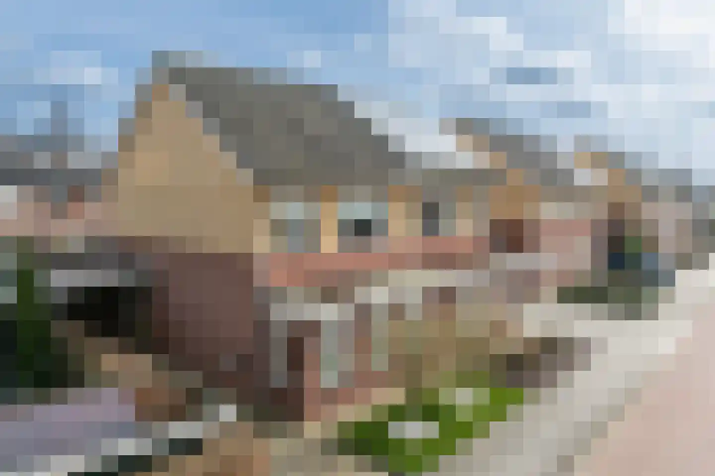 Hondsdraf 1 Vroomshoop thumbnail 36