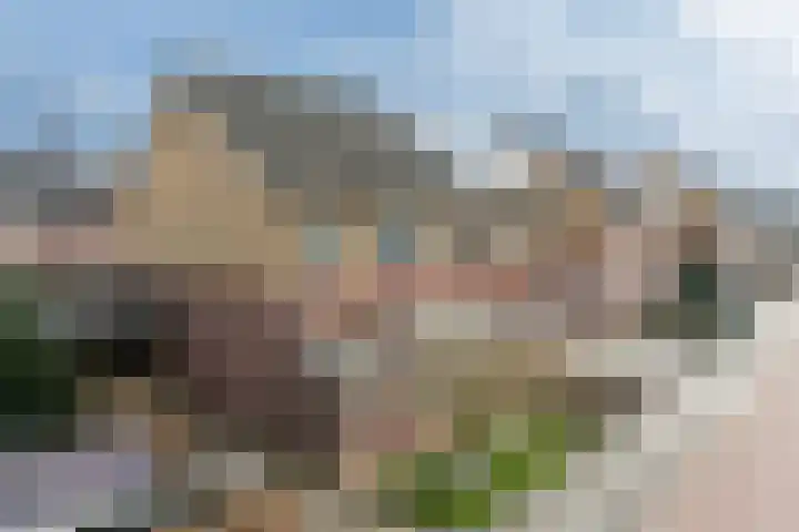Hondsdraf 1 Vroomshoop thumbnail 36