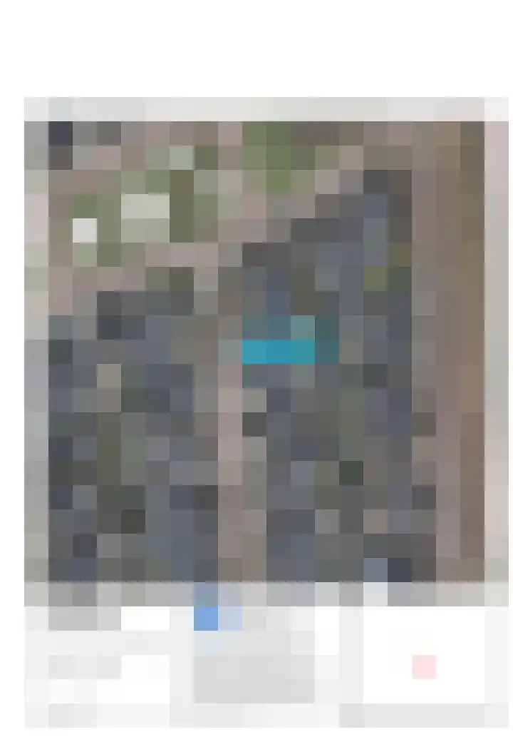 Hondsdraf 1 Vroomshoop thumbnail 43
