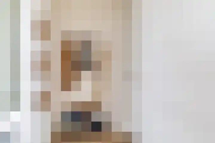 Hondsdraf 1 Vroomshoop thumbnail 6