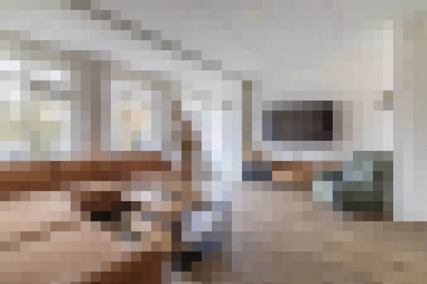 Hondsdraf 1 Vroomshoop thumbnail 9