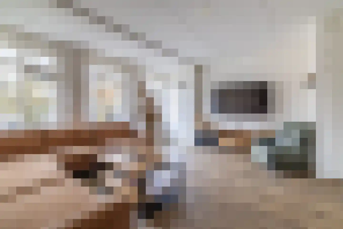 Hondsdraf 1 Vroomshoop thumbnail 9