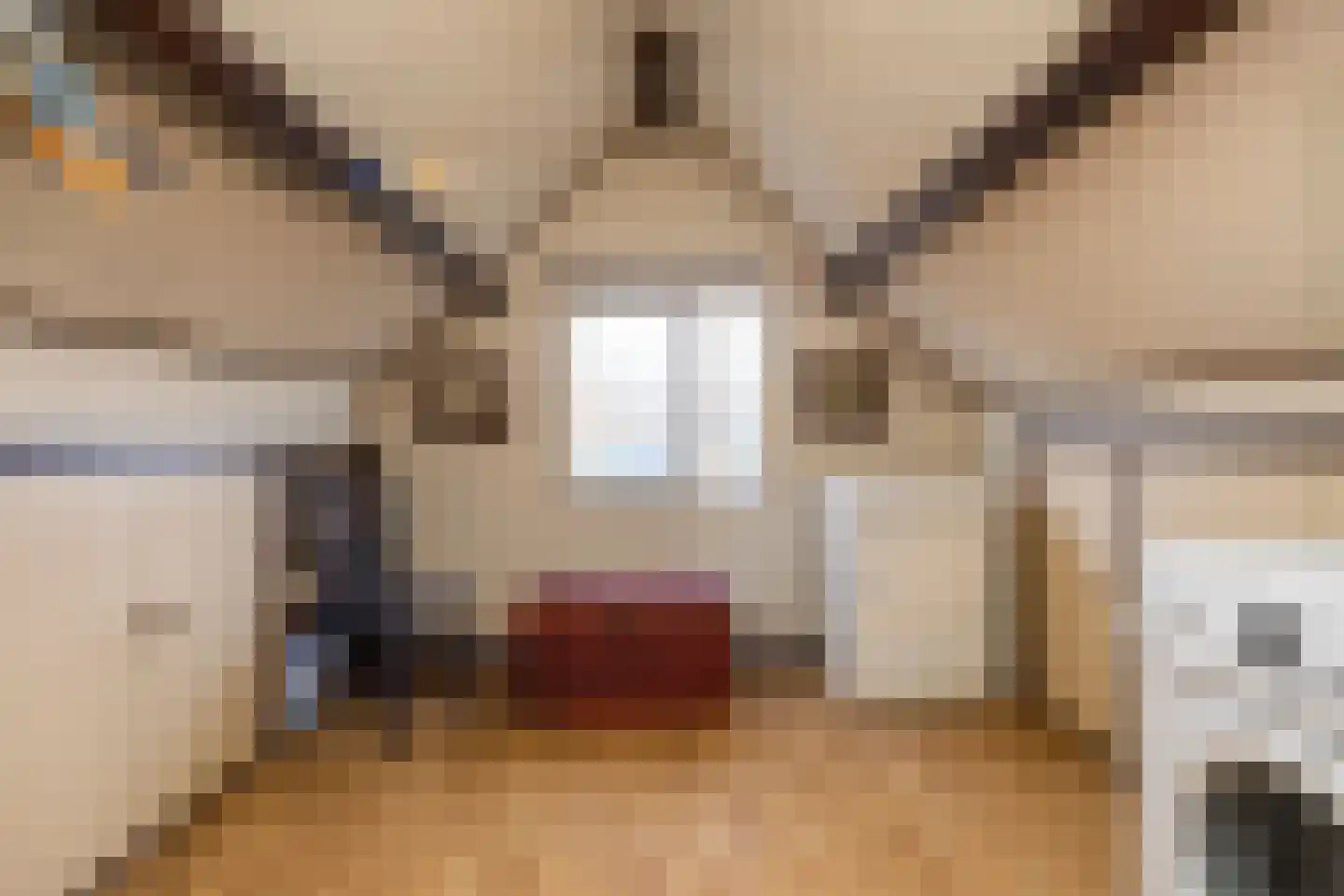 Hondsdraf 10 Maartensdijk thumbnail 21