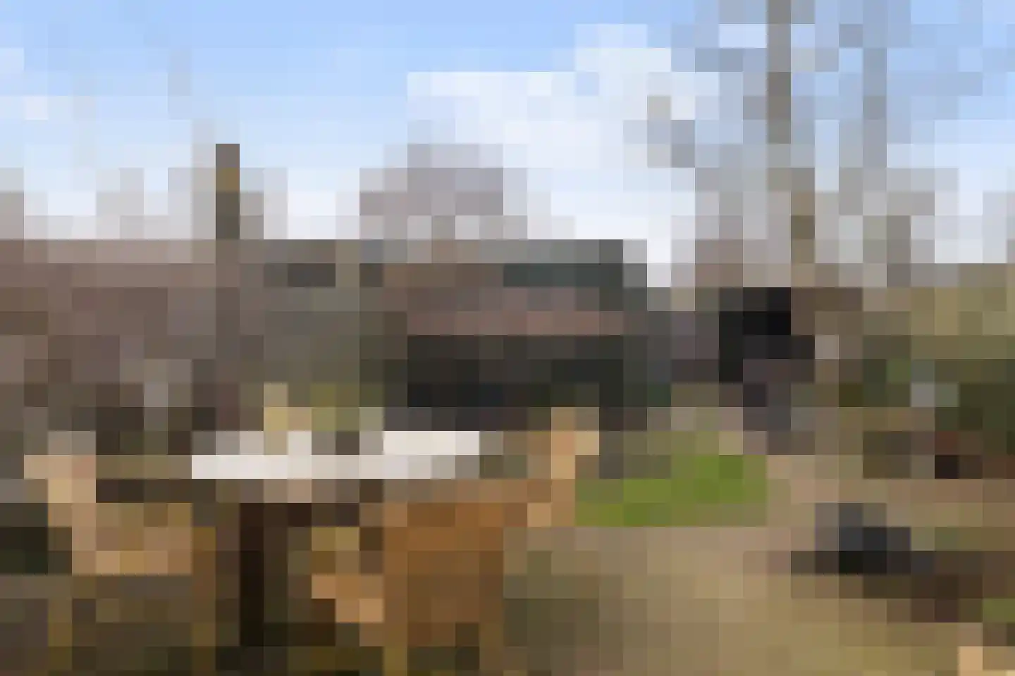 Hondsdraf 10 Maartensdijk thumbnail 22