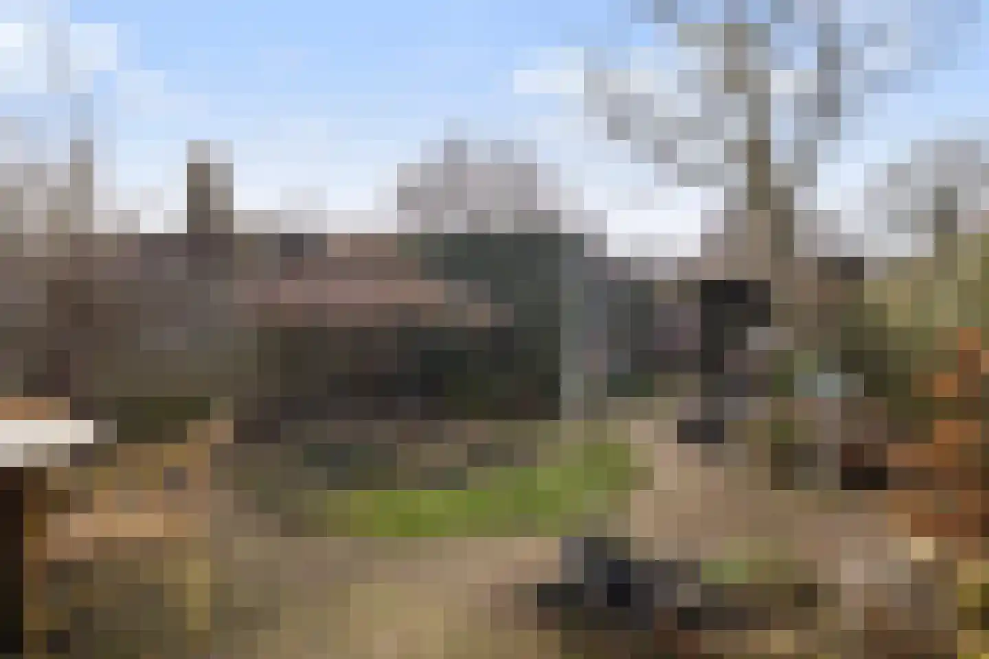 Hondsdraf 10 Maartensdijk thumbnail 23