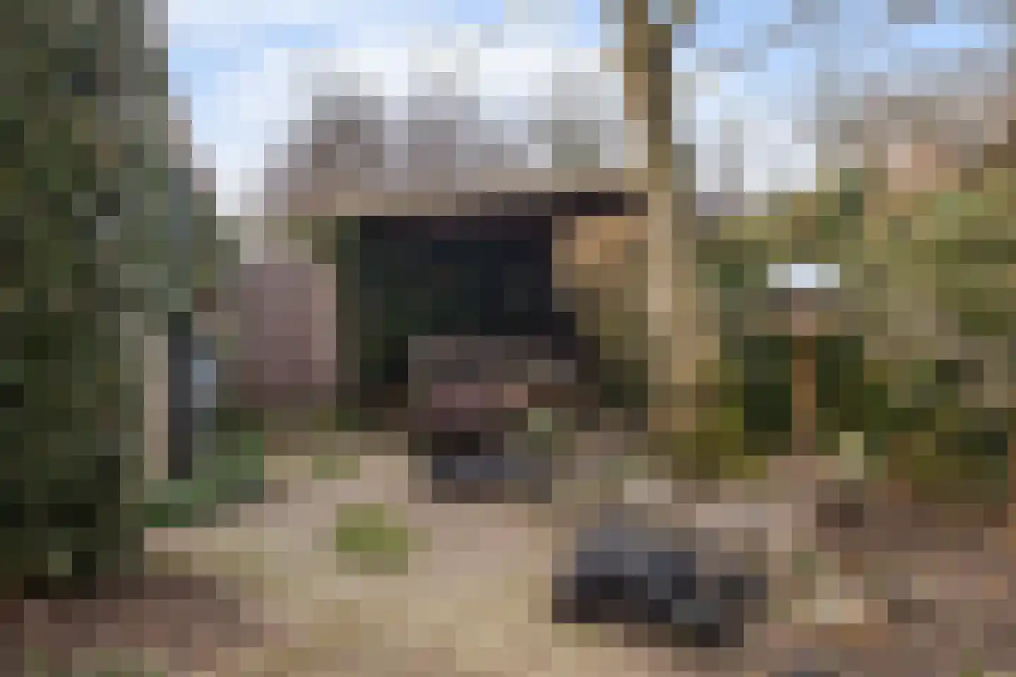 Hondsdraf 10 Maartensdijk thumbnail 24