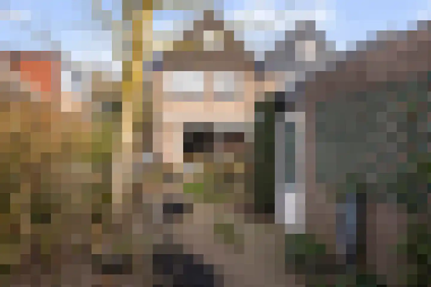 Hondsdraf 10 Maartensdijk thumbnail 25