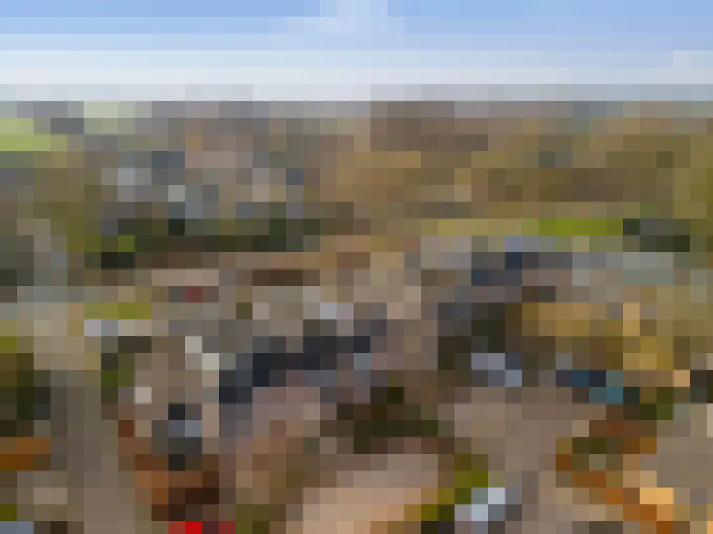 Hondsdraf 10 Maartensdijk thumbnail 26