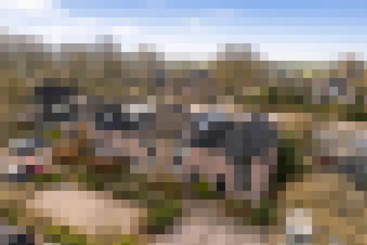 Hondsdraf 10 Maartensdijk thumbnail 27