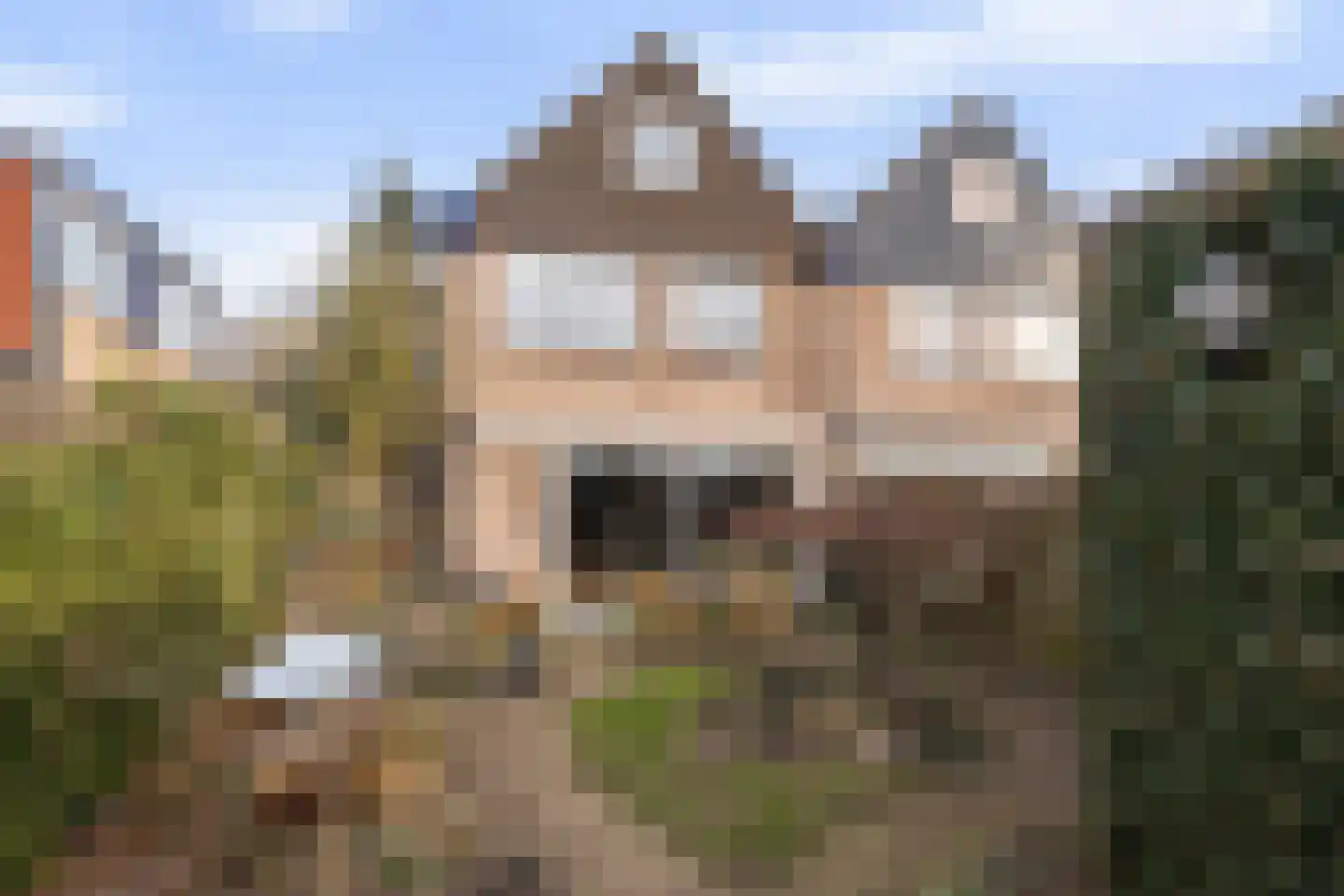 Hondsdraf 10 Maartensdijk thumbnail 28