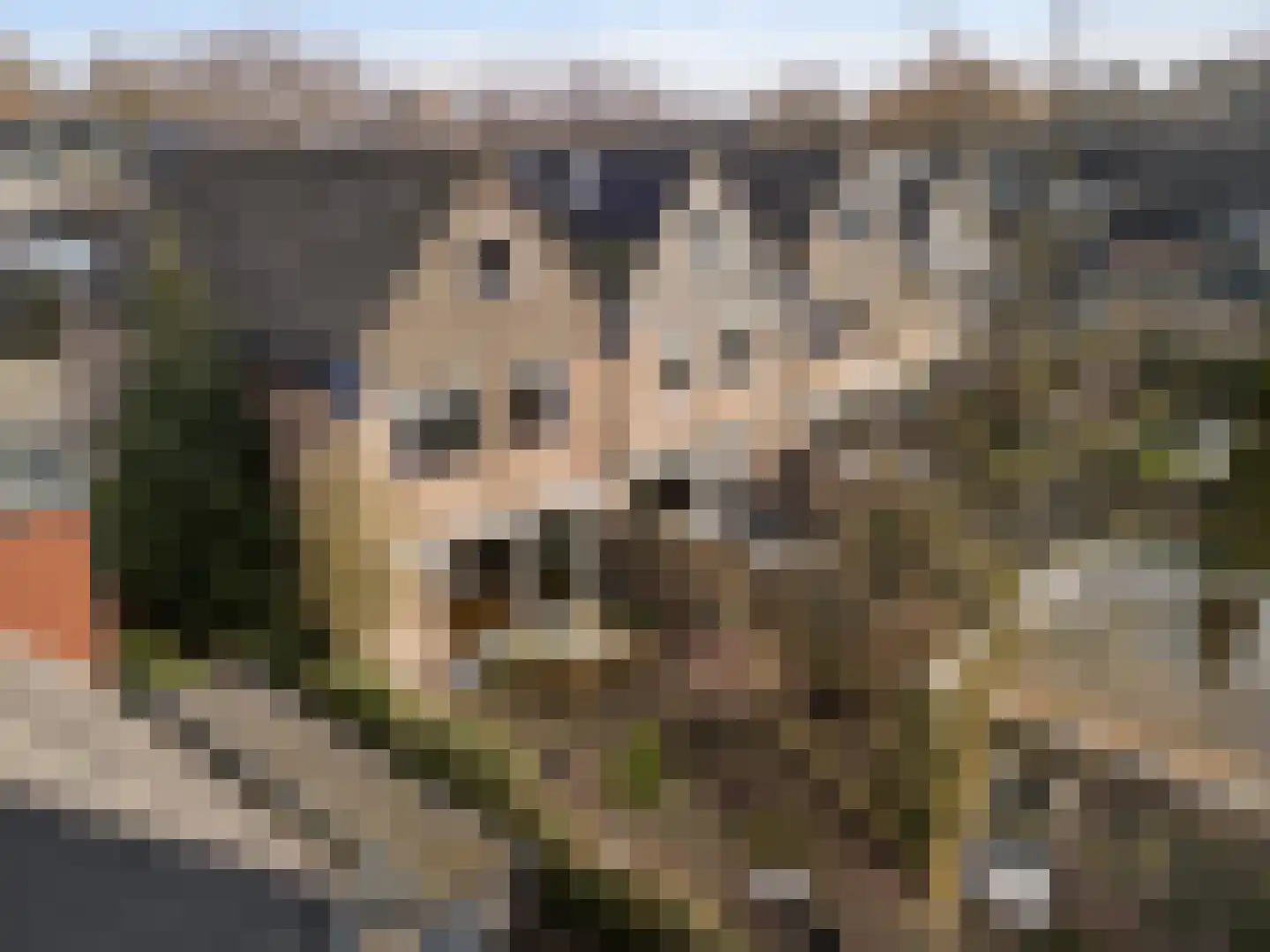 Hondsdraf 10 Maartensdijk thumbnail 29
