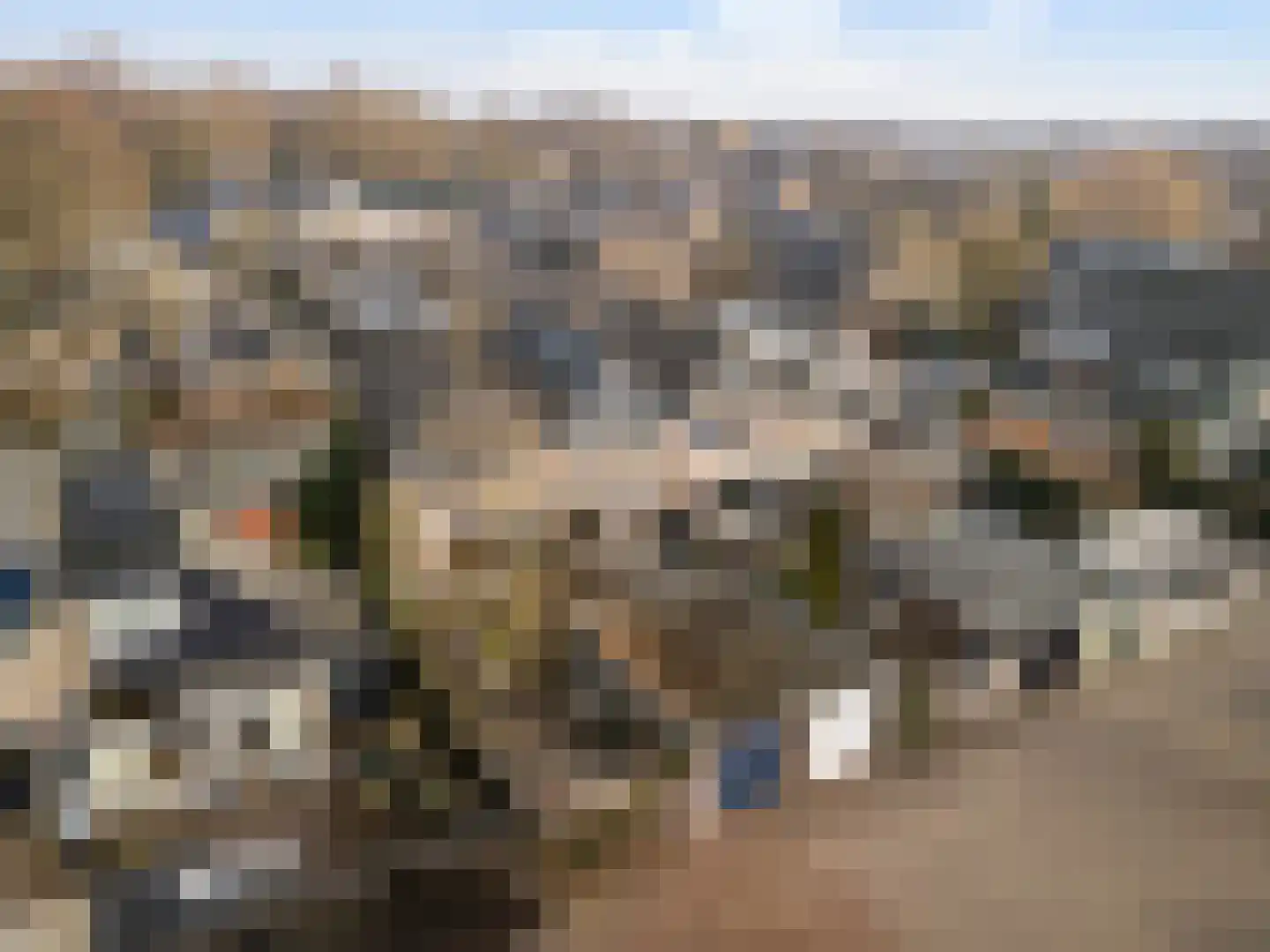 Hondsdraf 10 Maartensdijk thumbnail 30