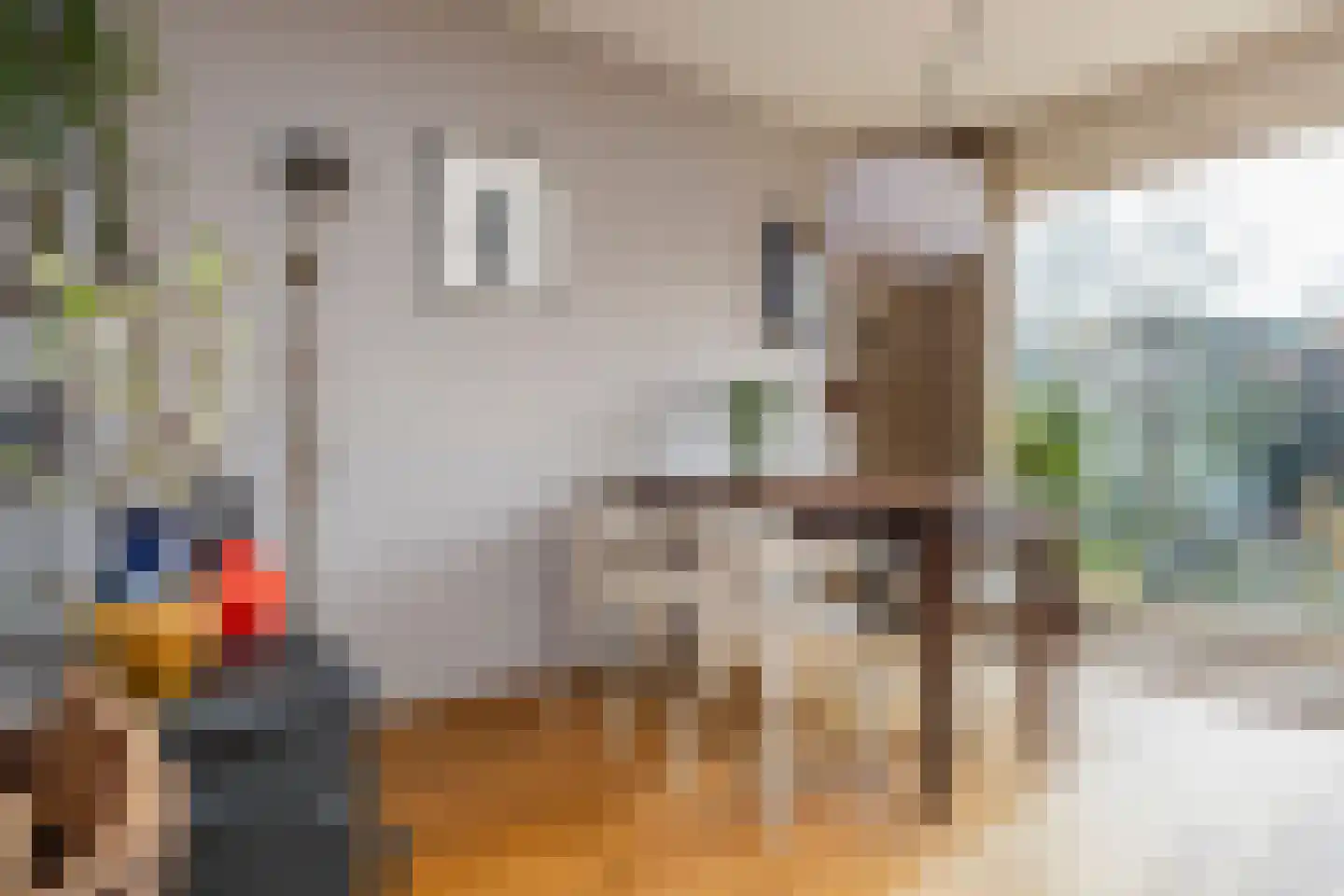 Hondsdraf 10 Maartensdijk thumbnail 4
