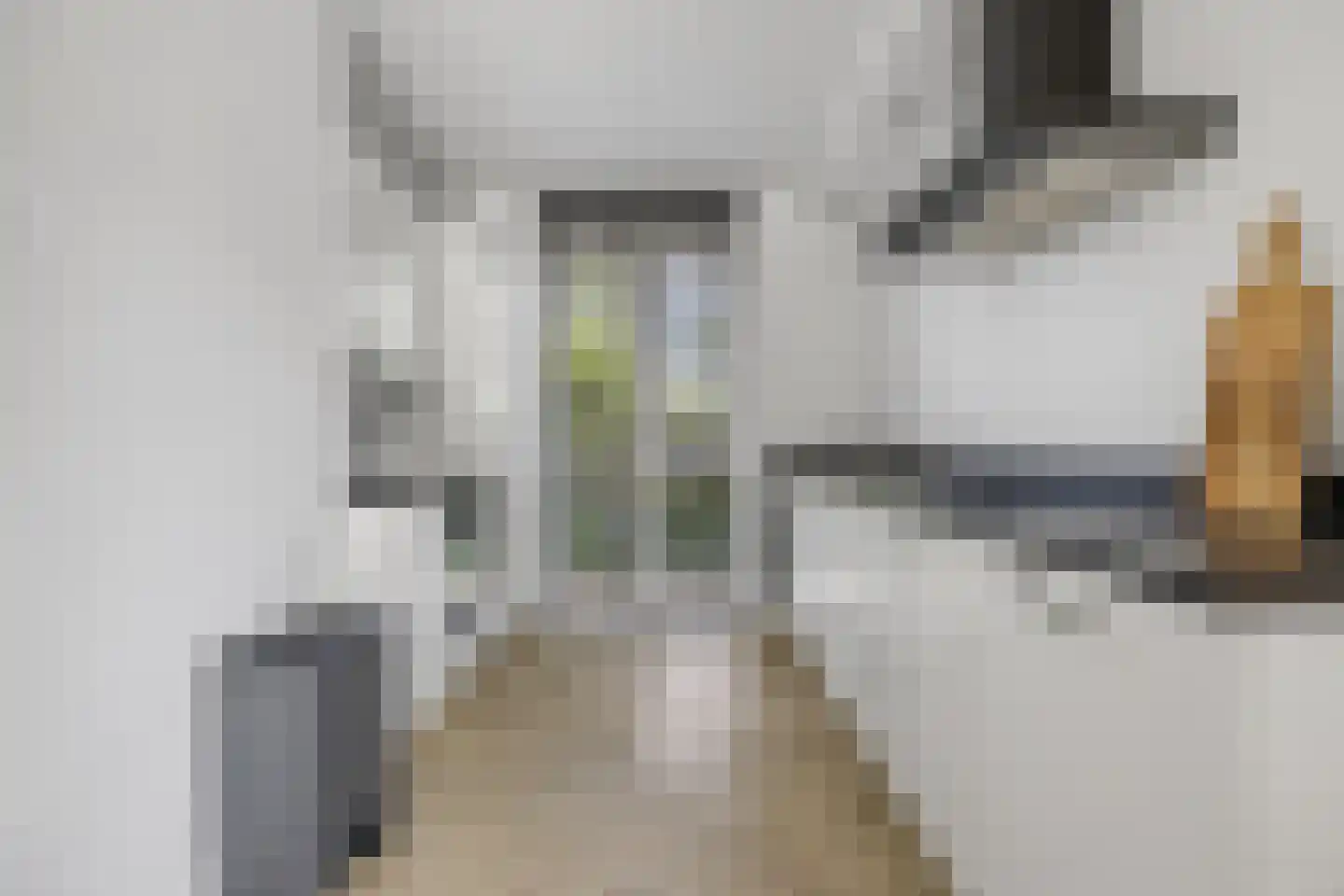 Hondsdraf 10 Voorthuizen thumbnail 14