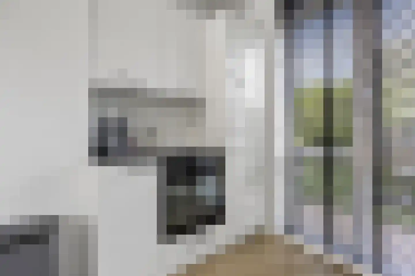 Hondsdraf 10 Voorthuizen thumbnail 16