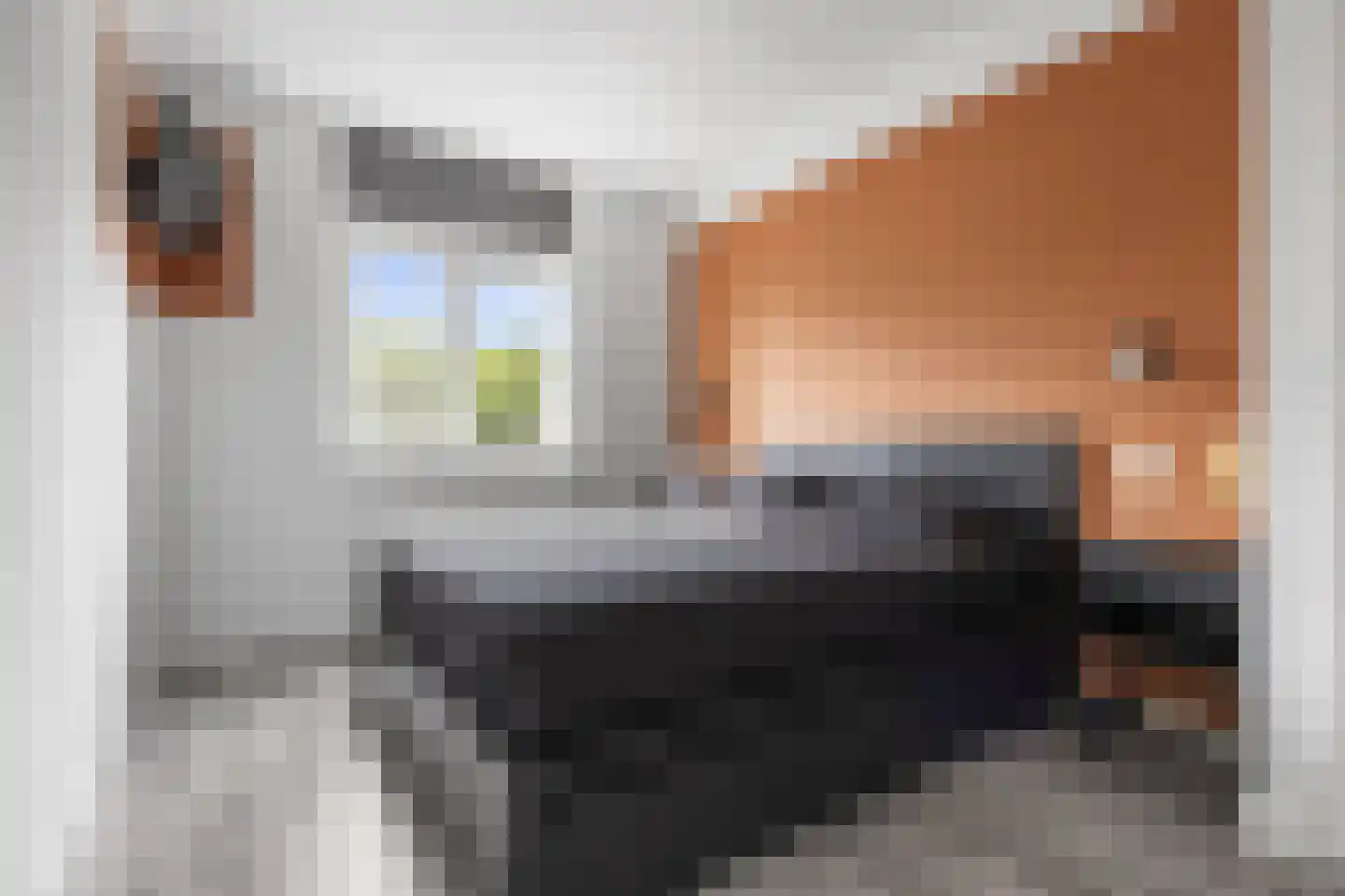 Hondsdraf 10 Voorthuizen thumbnail 18